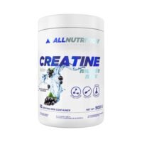 Creatine Muscle max 500g